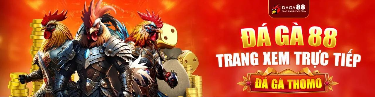 Đá gà trực tuyến kịch tính tại Kubet11 App